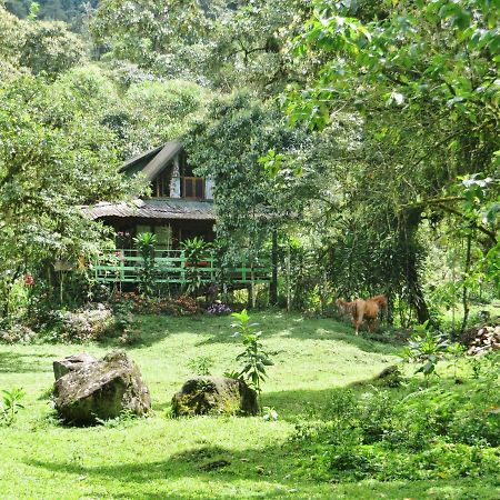 Mindo Eco Chalet Con Rio Y Cascada Eksteriør bilde