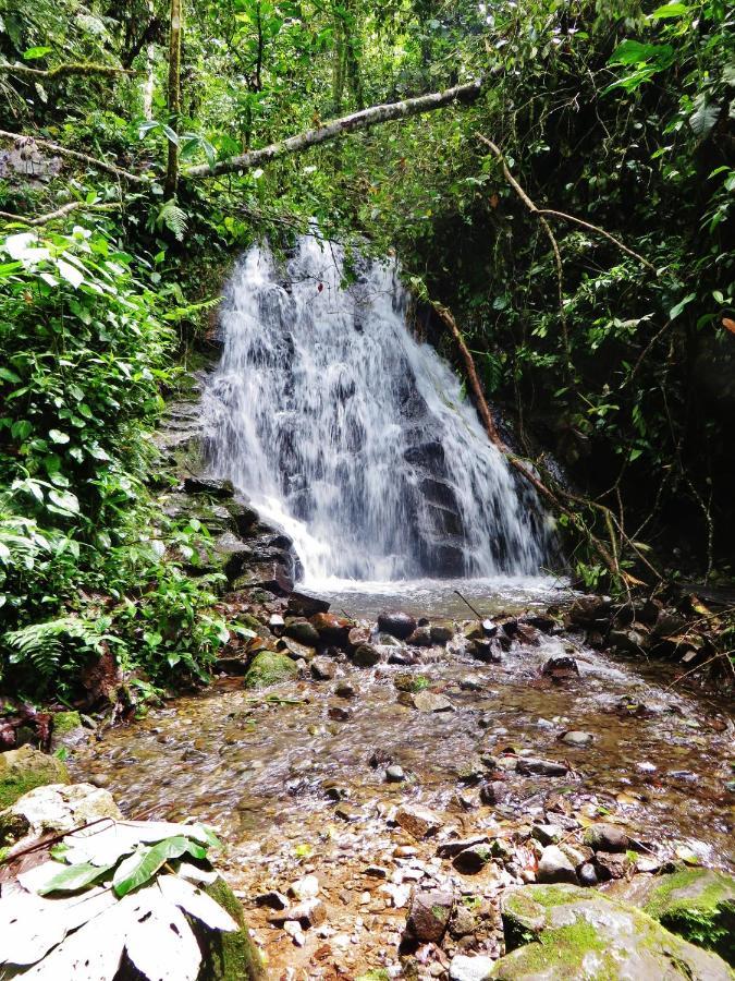 Mindo Eco Chalet Con Rio Y Cascada Eksteriør bilde
