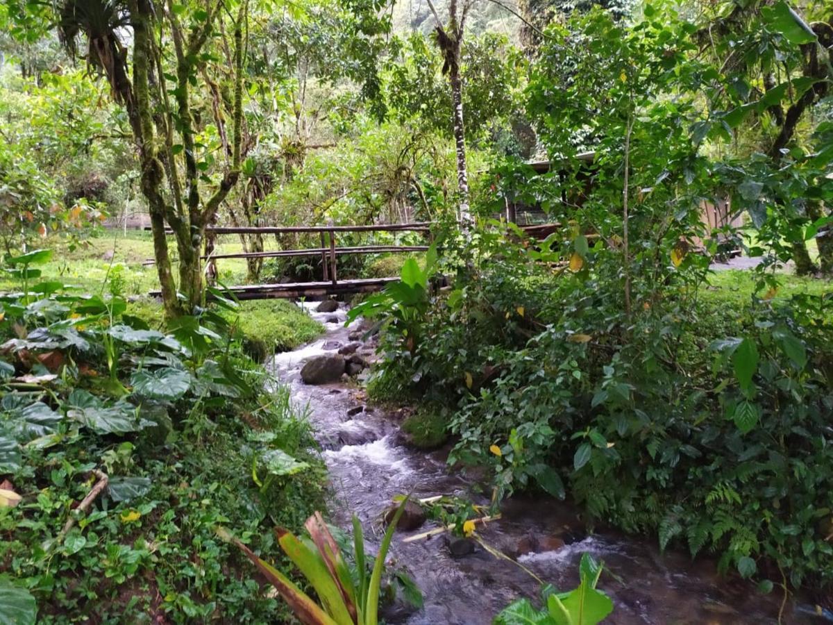 Mindo Eco Chalet Con Rio Y Cascada Eksteriør bilde