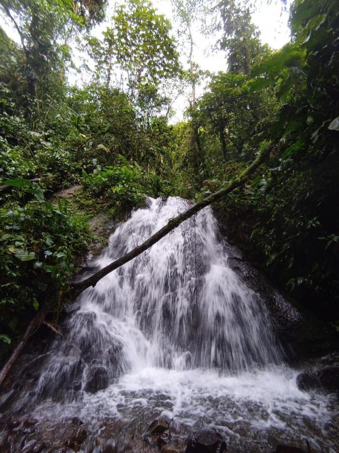 Mindo Eco Chalet Con Rio Y Cascada Eksteriør bilde