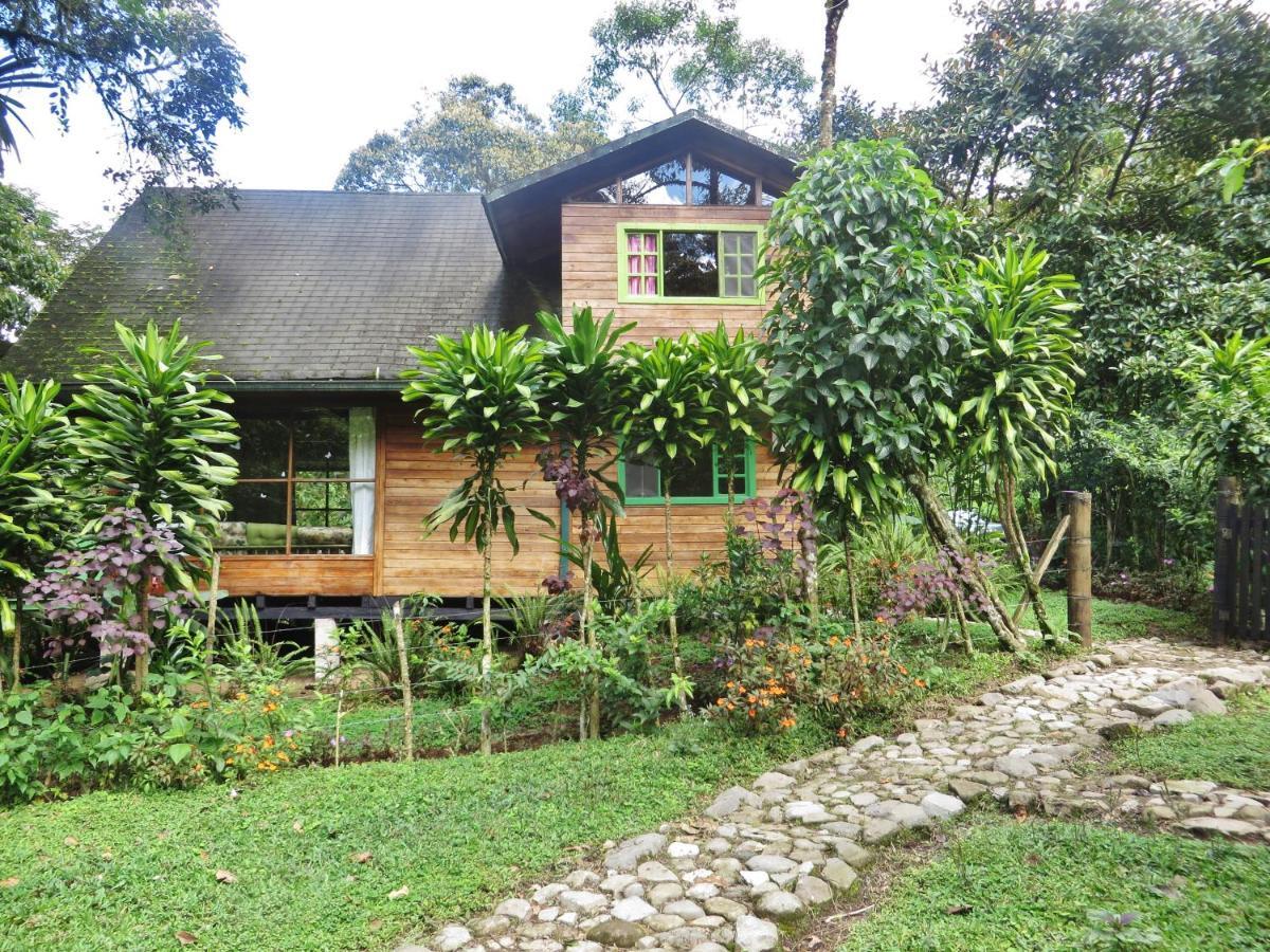 Mindo Eco Chalet Con Rio Y Cascada Eksteriør bilde