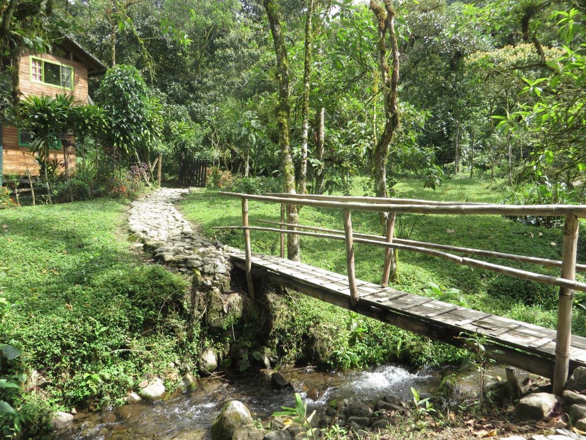 Mindo Eco Chalet Con Rio Y Cascada Eksteriør bilde