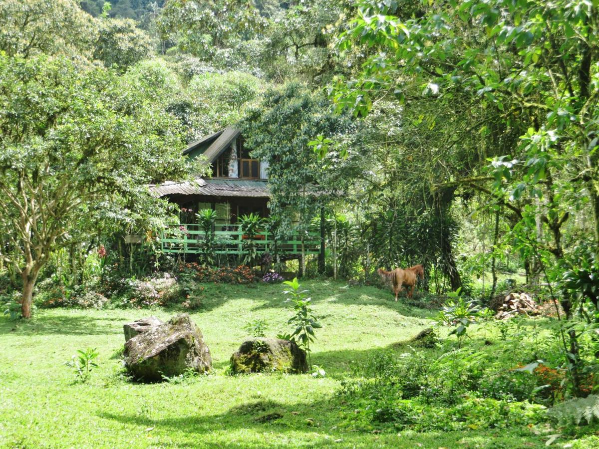 Mindo Eco Chalet Con Rio Y Cascada Eksteriør bilde